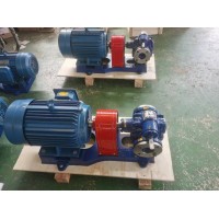  2CY不锈钢齿轮泵 液压齿轮泵